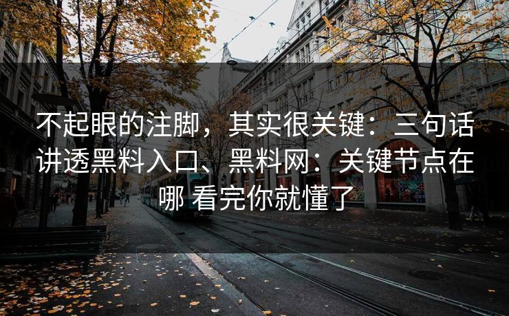 不起眼的注脚，其实很关键：三句话讲透黑料入口、黑料网：关键节点在哪 看完你就懂了