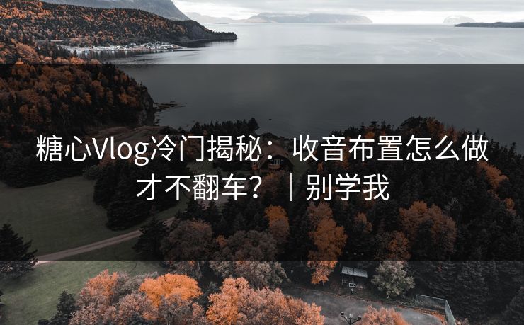 糖心Vlog冷门揭秘：收音布置怎么做才不翻车？｜别学我